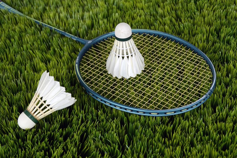 Cricket & Badminton